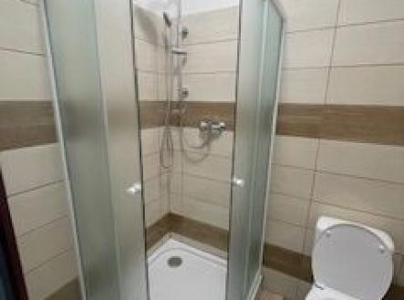 Pronájem bytu, 1+1, 29 m²