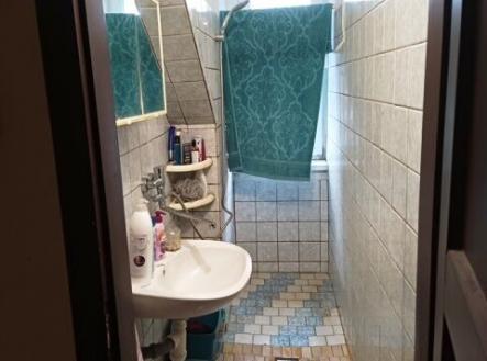 Pronájem bytu, 1+1, 51 m²