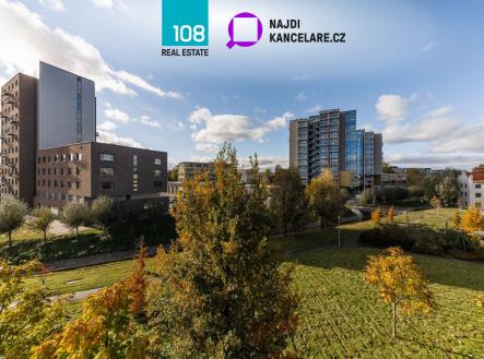 ponavka-skrobarenska-brno-jih | Pronájem - kanceláře, 397 m²