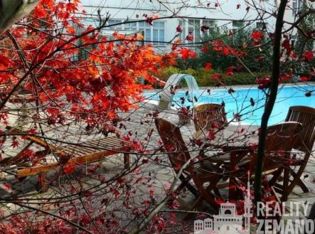 Pronájem bytu, 1+kk, 38 m²