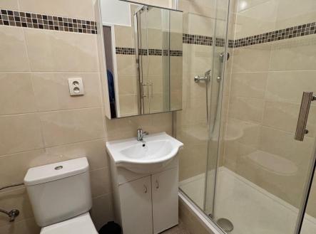 Pronájem bytu, 1+1, 47 m²