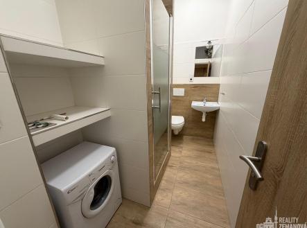 Pronájem bytu, 1+1, 39 m²