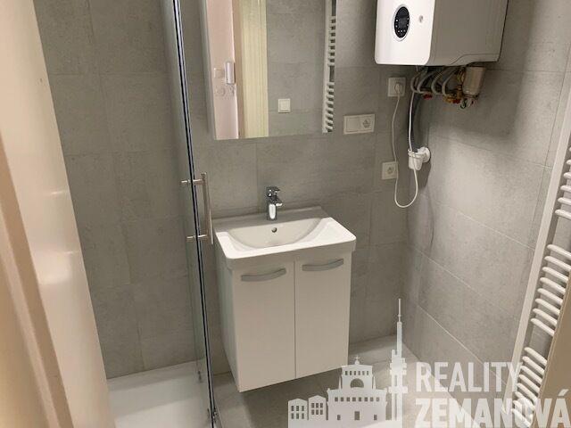 Zrekonstruovaný byt 1+1, 48 m2, u nám. Jiřího z Poděbrad, Praha 3 - Vinohrady