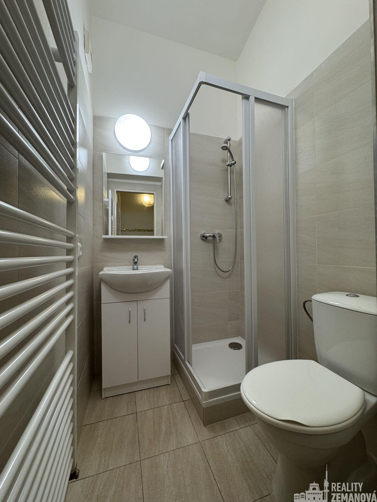 Byt 2kk v polosuterénu o velikosti cca 50m2 na Jiřího z Poděbrad.