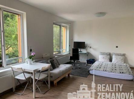 Pronájem bytu, 1+kk, 37 m²