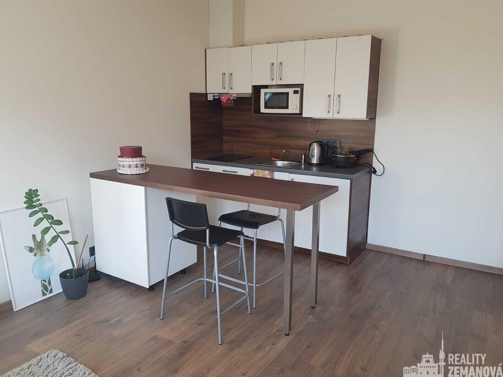 Studio, 1+kk, 30 m2, velmi pěkné bydlení. U metra Budějovická.