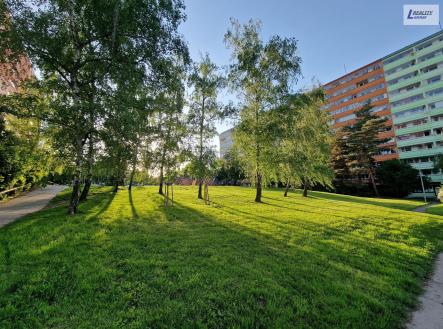 Prodej bytu, 3+1, 66 m²
