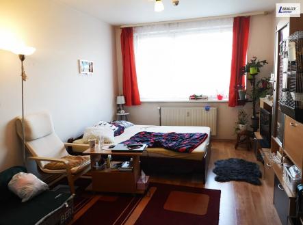 Pronájem bytu, 1+kk, 30 m²