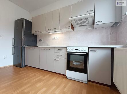 Pronájem bytu, 1+1, 43 m²