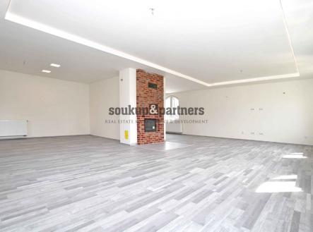 Prodej - dům/vila, 368 m²