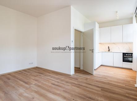 současný stav | Prodej bytu, 1+kk, 30 m²