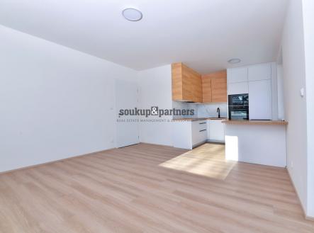 Pronájem bytu, 2+kk, 52 m²