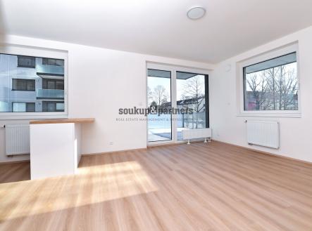 Pronájem bytu, 2+kk, 52 m²