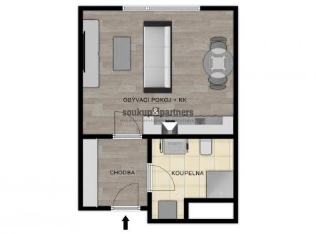 Prodej bytu, 1+kk, 29 m²