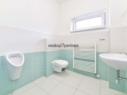 Prodej - dům/vila, 384 m²