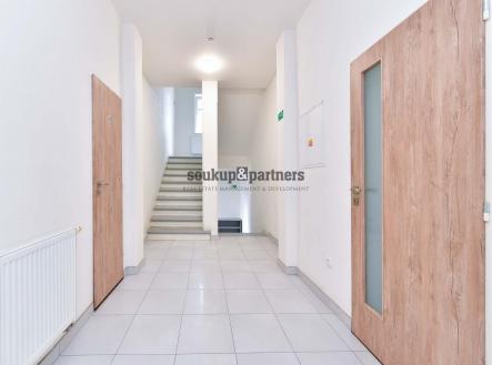 Prodej - dům/vila, 384 m²