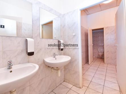 Pronájem - kanceláře, 24 m²