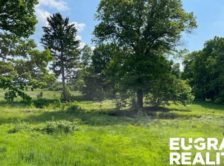 52 | Prodej - pozemek pro bydlení, 15 799 m²