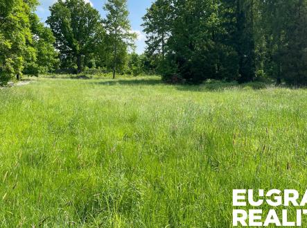 53 | Prodej - pozemek pro bydlení, 15 799 m²