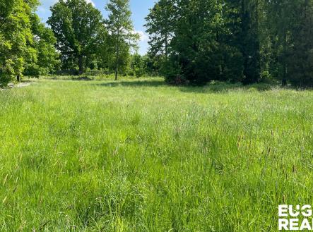 53 | Prodej - pozemek pro bydlení, 15 799 m²