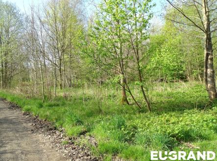 DSC05062 | Prodej - pozemek, ostatní, 489 m²