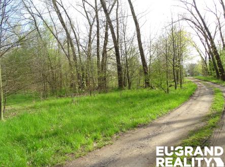 DSC05059 | Prodej - pozemek, ostatní, 711 m²