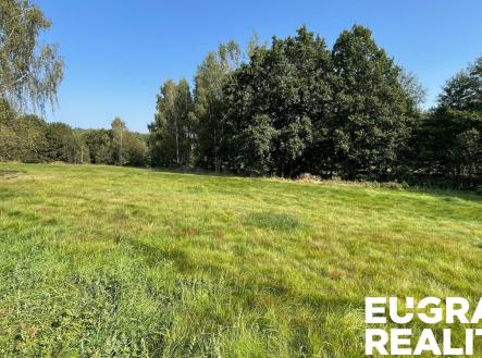 IMG_5351 | Prodej - pozemek, trvalý travní porost, 14 798 m²