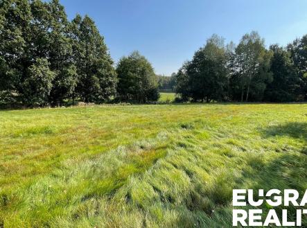 IMG_5350 | Prodej - pozemek, trvalý travní porost, 14 798 m²