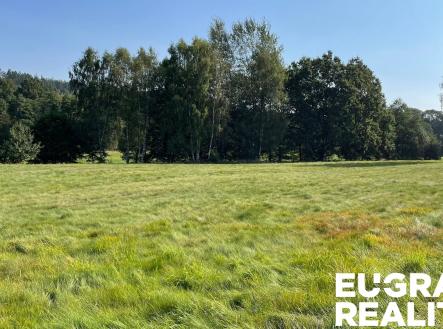 IMG_5349 | Prodej - pozemek, trvalý travní porost, 14 798 m²