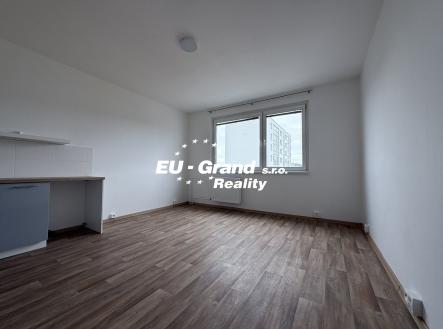 IMG_4387 | Pronájem bytu, 1+1, 45 m²