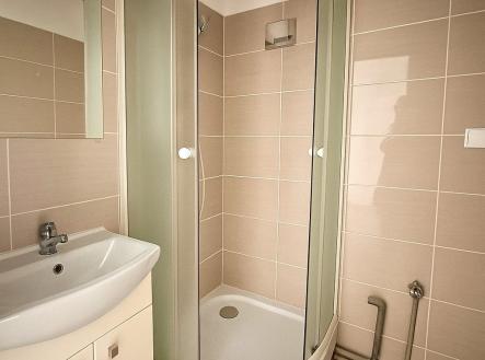 Uklizená koupelna | Prodej bytu, 1+1, 38 m²