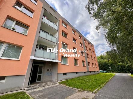 IMG_0117 | Pronájem bytu, 1+kk, 27 m²