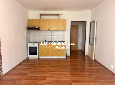 IMG_0112 | Pronájem bytu, 1+kk, 27 m²