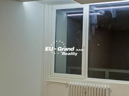 8bb4e2be-d709-4c99-a5b2-130d2cebecba | Pronájem bytu, 1+1, 41 m²