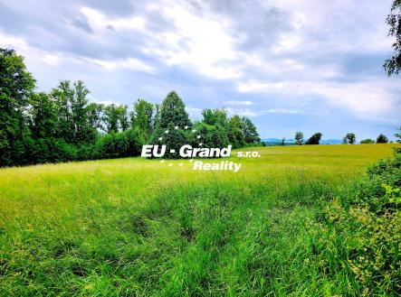 20250608_104229 | Prodej - pozemek, trvalý travní porost, 7 471 m²