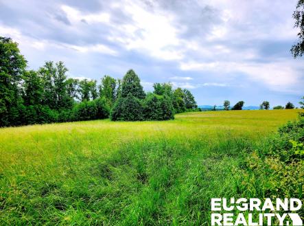 20250608_104229 | Prodej - pozemek, trvalý travní porost, 7 471 m²