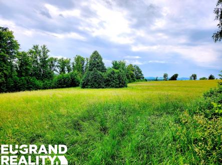 20250608_104229 | Prodej - pozemek, trvalý travní porost, 7 471 m²