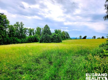 20250608_104229 | Prodej - pozemek, trvalý travní porost, 7 471 m²