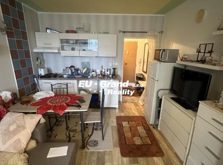 IMG_4325 | Prodej bytu, 1+kk, 27 m²