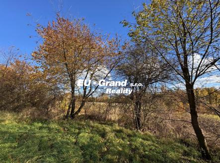 IMG_2508 | Prodej - pozemek pro bydlení, 20 638 m²