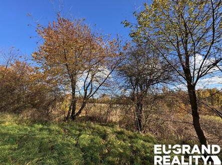 IMG_2508 | Prodej - pozemek pro bydlení, 20 638 m²