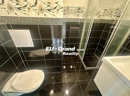 IMG_4243 | Pronájem bytu, 3+1, 77 m²