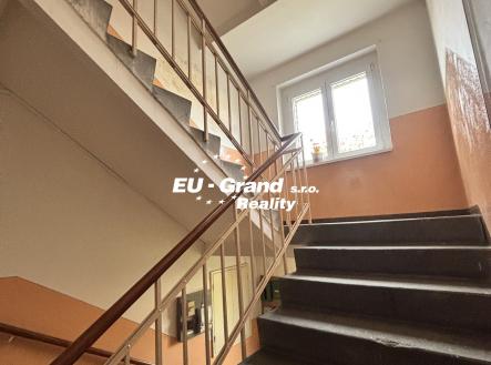 IMG_8698 | Pronájem bytu, 3+1, 81 m²