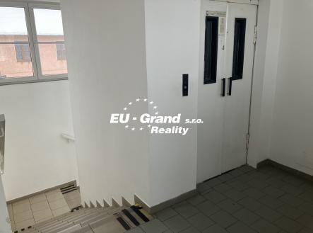 IMG_5778 | Pronájem - obchodní prostor, 450 m²