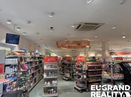 IMG_3467 | Pronájem - obchodní prostor, 450 m²