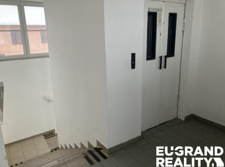 IMG_5778 | Pronájem - obchodní prostor, 450 m²