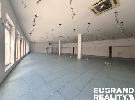 IMG_2278 | Pronájem - obchodní prostor, 450 m²