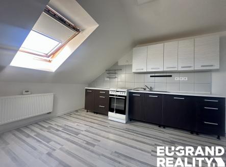 IMG_5093 | Pronájem bytu, 2+1, 51 m²