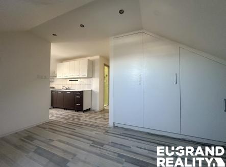 IMG_5097 | Pronájem bytu, 2+1, 51 m²