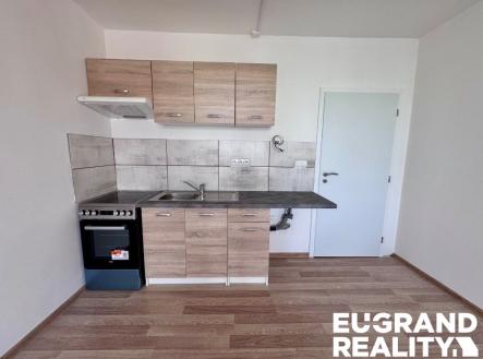 IMG_5767 | Pronájem bytu, 1+kk, 27 m²